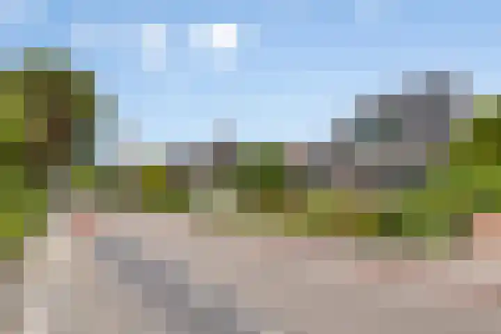 Dr.Nuijensstraat 39 Westwoud thumbnail 41