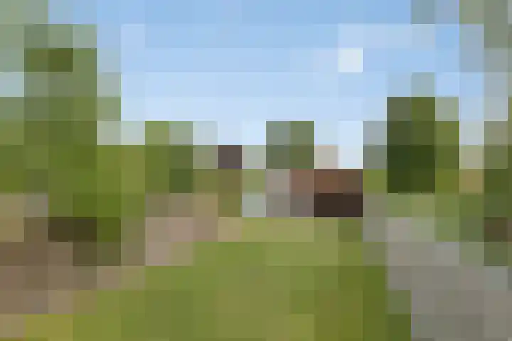 Dr.Nuijensstraat 39 Westwoud thumbnail 5