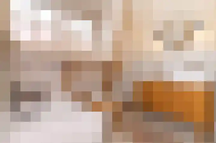 Dr.Nuijensstraat 43 Westwoud thumbnail 31