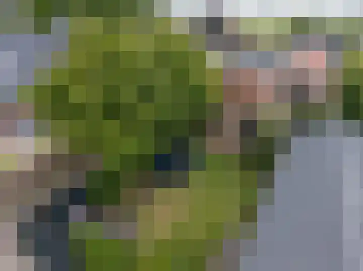 Dr.Nuijensstraat 43 Westwoud thumbnail 5