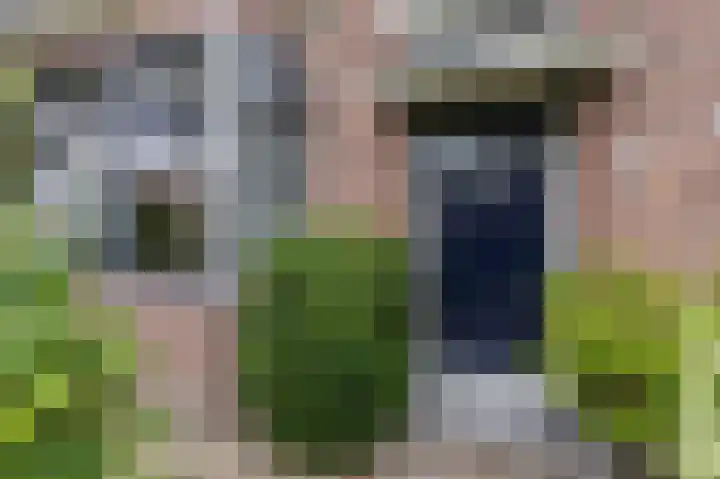 Dr.Nuijensstraat 43 Westwoud thumbnail 7
