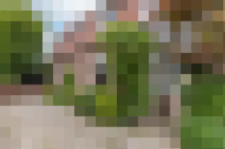 Dr.Nuijensstraat 43 Westwoud thumbnail 8