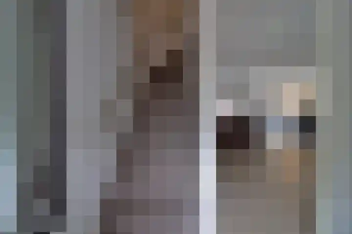 Dr. Nuijensstraat 5 Tilburg thumbnail 11