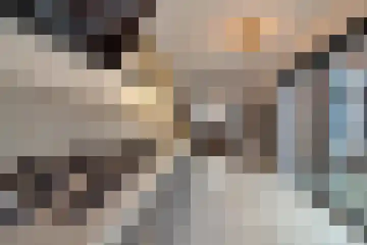 Dr. Nuijensstraat 5 Tilburg thumbnail 15