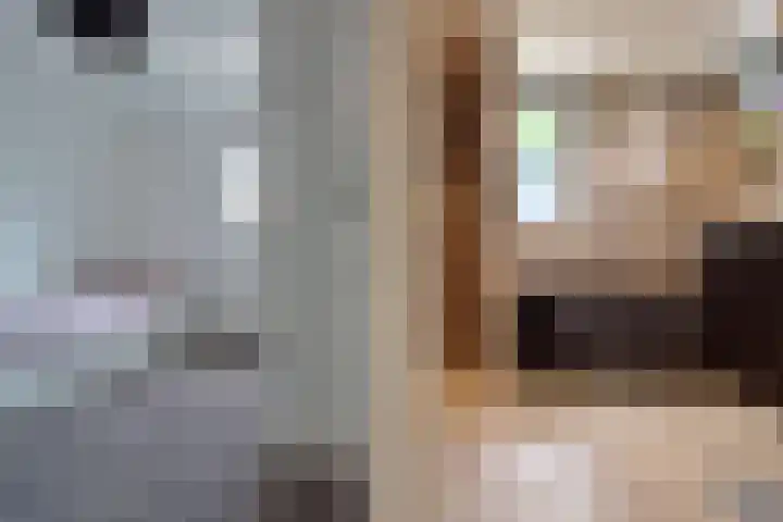 Dr. Nuijensstraat 5 Tilburg thumbnail 23