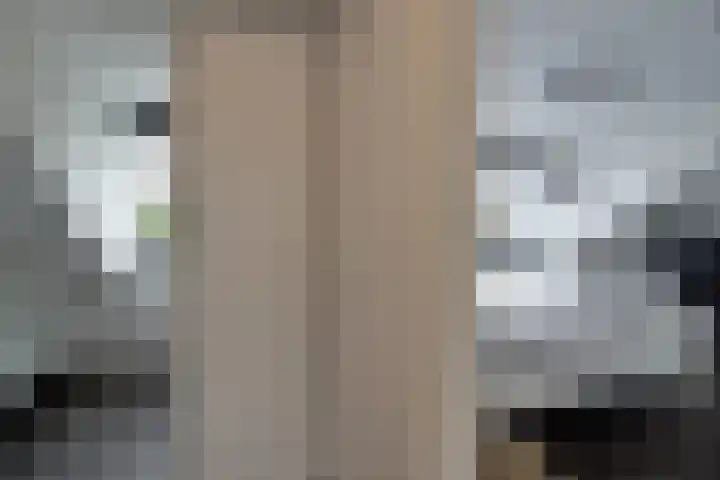 Dr. Nuijensstraat 5 Tilburg thumbnail 30