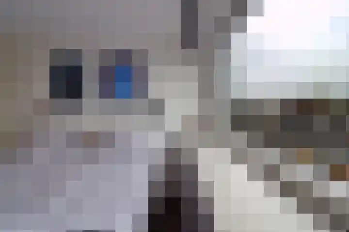 Dr. Nuijensstraat 5 Tilburg thumbnail 32