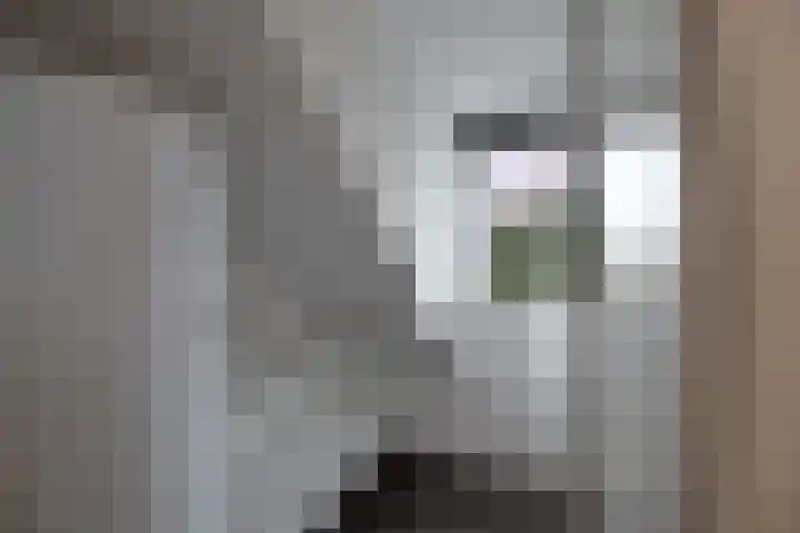 Dr. Nuijensstraat 5 Tilburg thumbnail 34