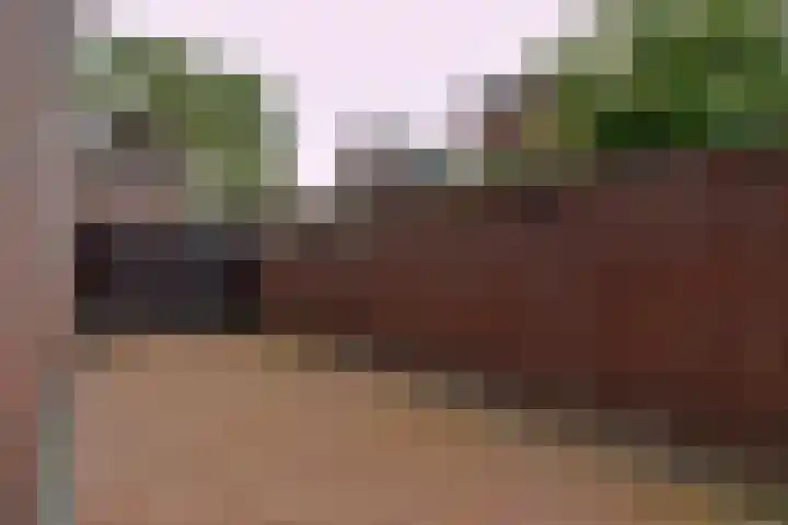 Dr. Nuijensstraat 5 Tilburg thumbnail 41