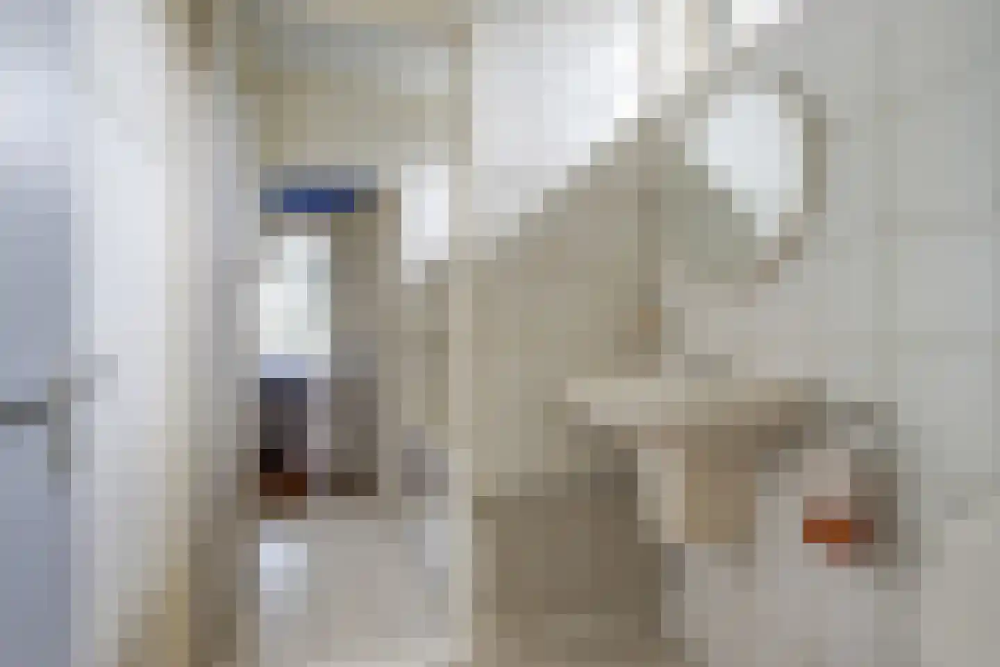 Dr.Nuijensstraat 62 Westwoud thumbnail 15
