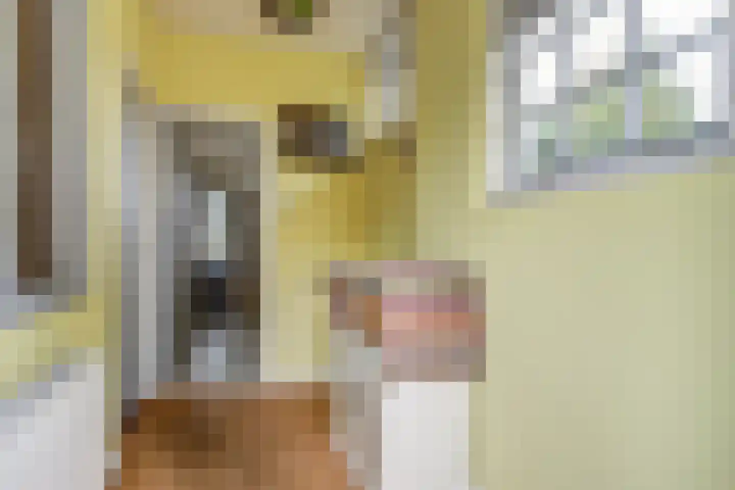 Dr.Nuijensstraat 62 Westwoud thumbnail 17