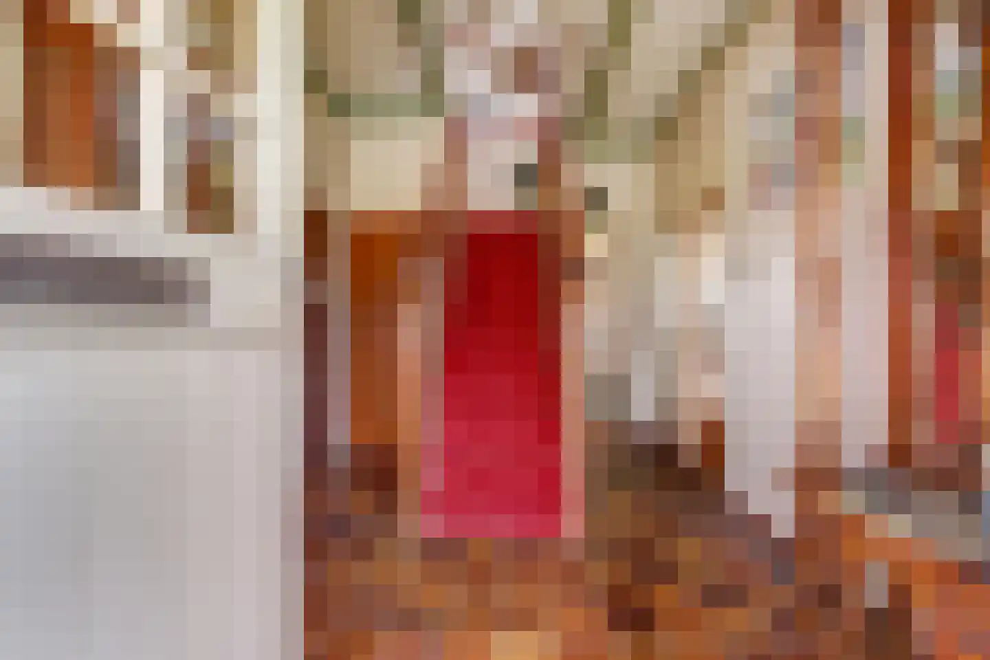 Dr.Nuijensstraat 62 Westwoud thumbnail 18