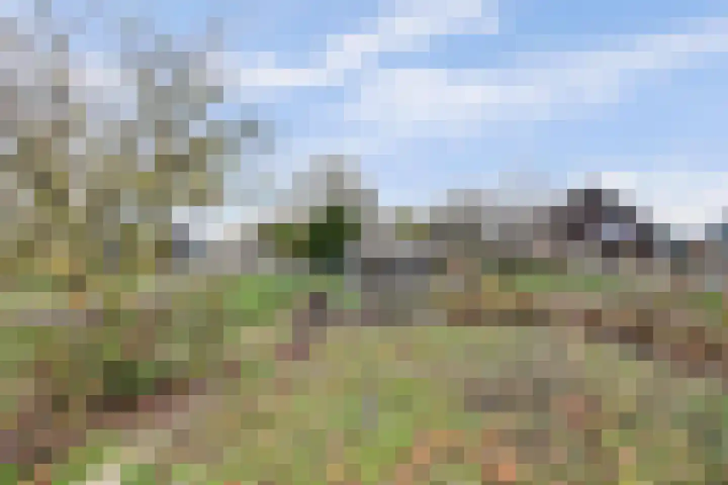 Dr.Nuijensstraat 62 Westwoud thumbnail 40