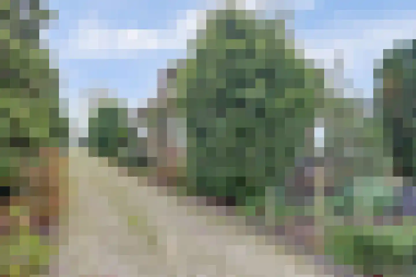Dr.Nuijensstraat 62 Westwoud thumbnail 45