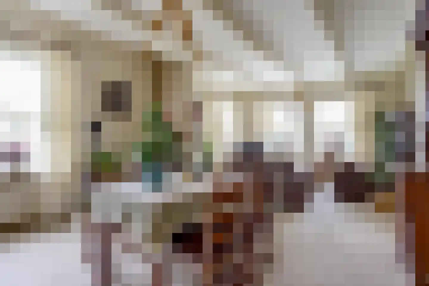 Dr.Nuijensstraat 62 Westwoud thumbnail 5