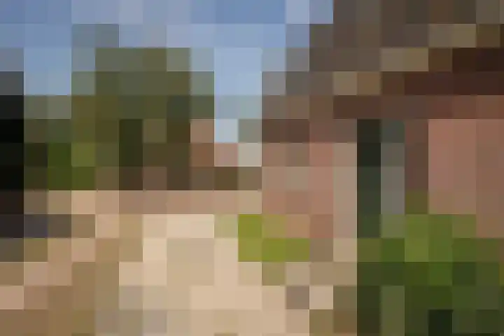 Dr.Nuijensstraat 98 Westwoud thumbnail 28