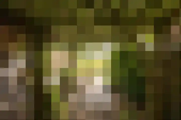 Dr.Nuijensstraat 98 Westwoud thumbnail 30
