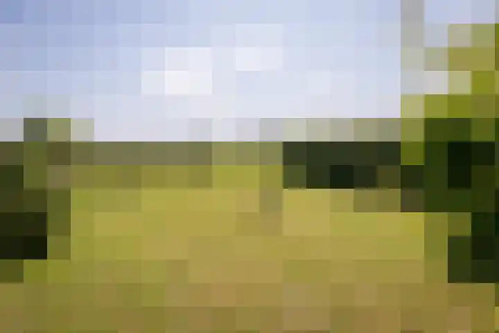 Dr.Nuijensstraat 98 Westwoud thumbnail 32
