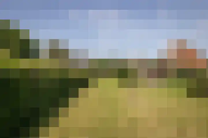 Dr.Nuijensstraat 98 Westwoud thumbnail 33