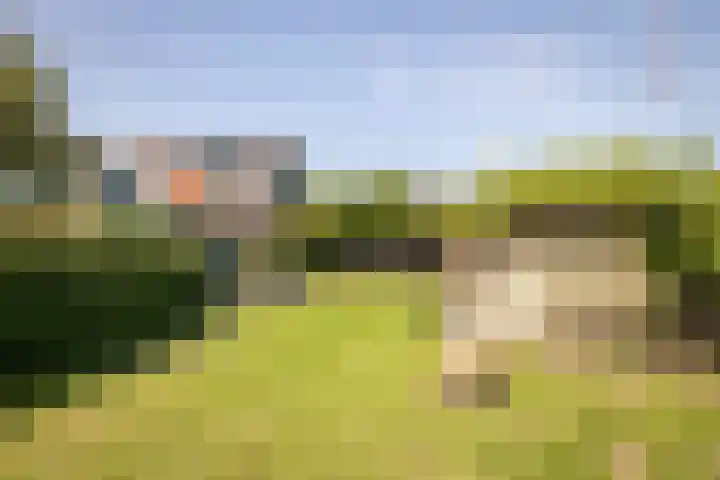 Dr.Nuijensstraat 98 Westwoud thumbnail 34