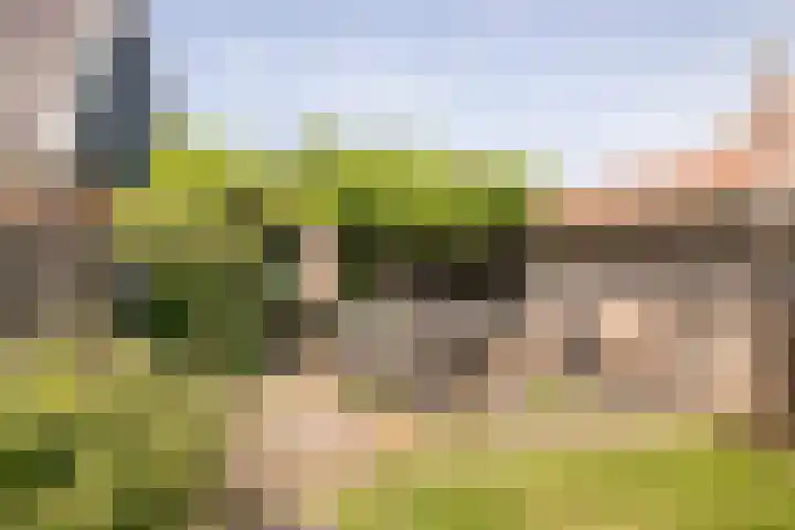 Dr.Nuijensstraat 98 Westwoud thumbnail 35