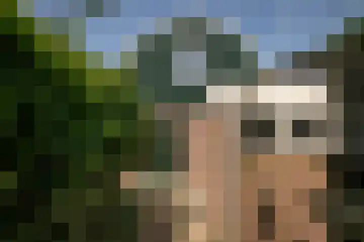 Dr.Nuijensstraat 98 Westwoud thumbnail 36