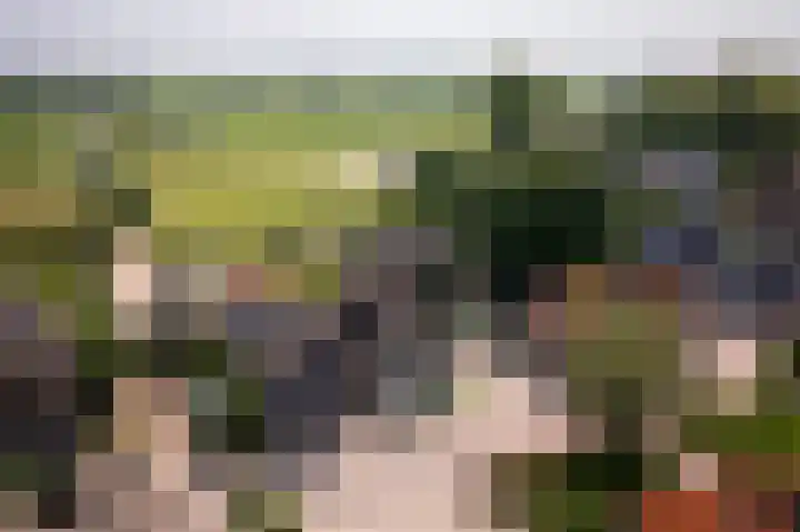 Dr.Nuijensstraat 98 Westwoud thumbnail 39