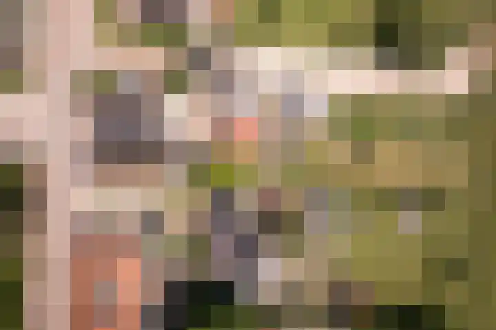Dr.Nuijensstraat 98 Westwoud thumbnail 41