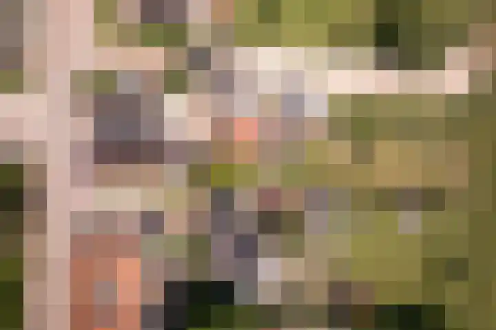 Dr.Nuijensstraat 98 Westwoud thumbnail 42