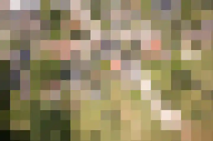 Dr.Nuijensstraat 98 Westwoud thumbnail 43