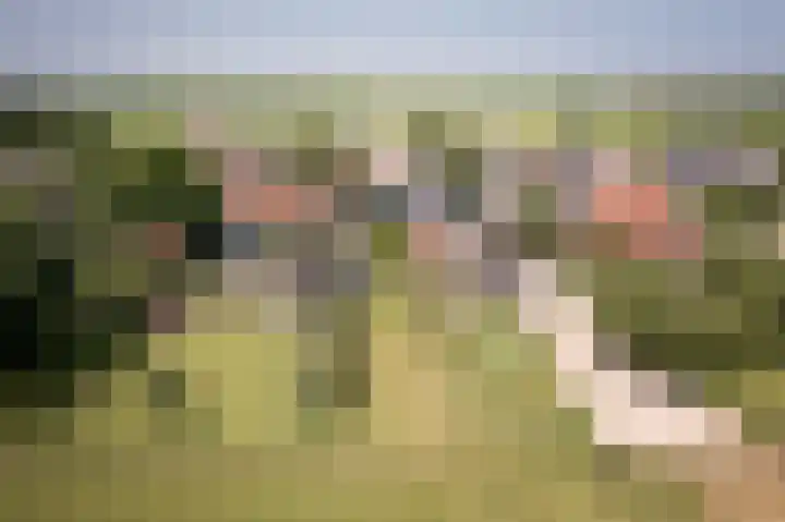 Dr.Nuijensstraat 98 Westwoud thumbnail 44