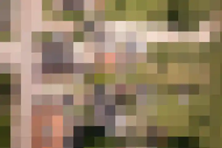 Dr.Nuijensstraat 98 Westwoud thumbnail 5