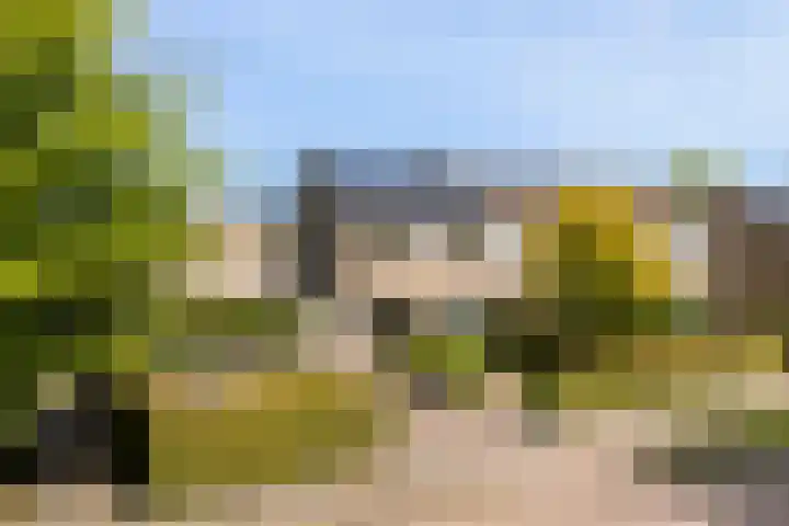 Dr. O. Postmastrjitte 17 Gytsjerk foto 2