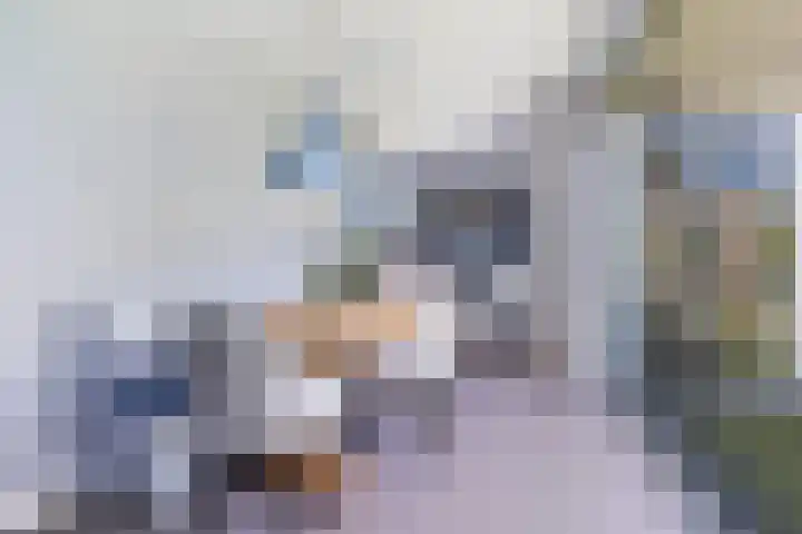 Dr. O. Postmastrjitte 17 Gytsjerk thumbnail 21