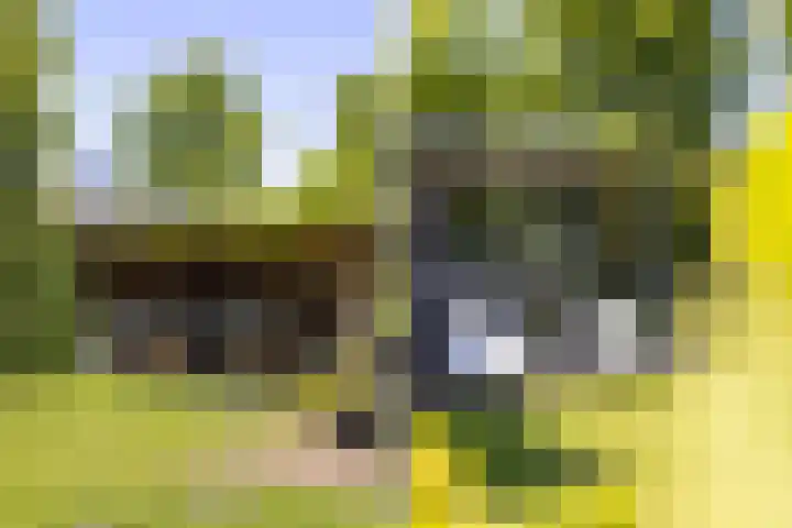 Dr. O. Postmastrjitte 17 Gytsjerk thumbnail 38