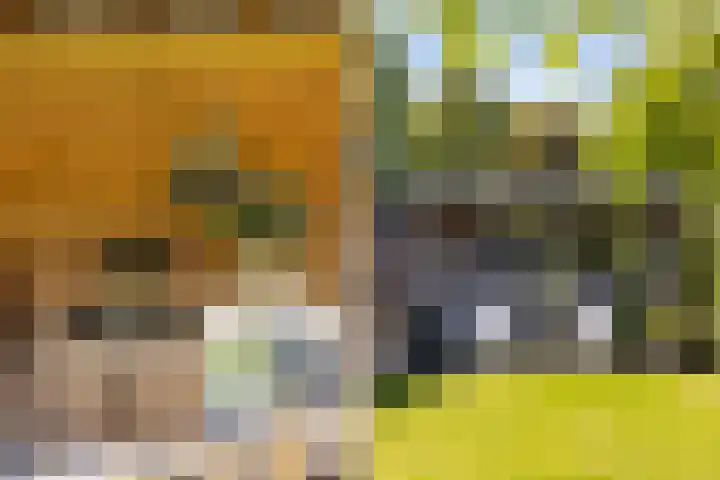 Dr. O. Postmastrjitte 17 Gytsjerk thumbnail 39