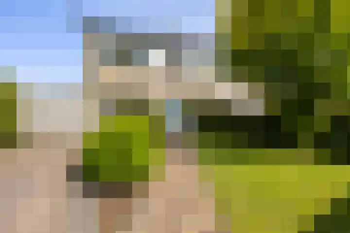 Dr. O. Postmastrjitte 17 Gytsjerk thumbnail 5