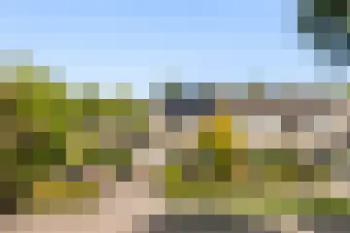 Dr. O. Postmastrjitte 17 Gytsjerk thumbnail 55