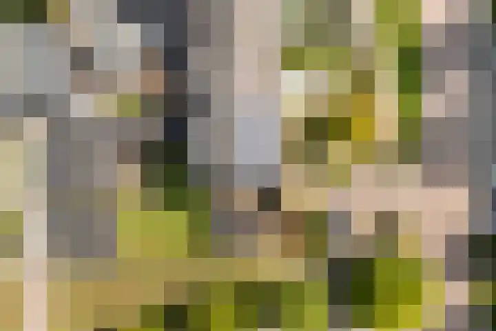 Dr. O. Postmastrjitte 17 Gytsjerk thumbnail 56