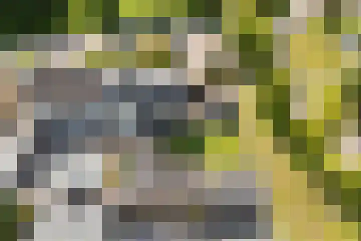 Dr. O. Postmastrjitte 17 Gytsjerk thumbnail 57