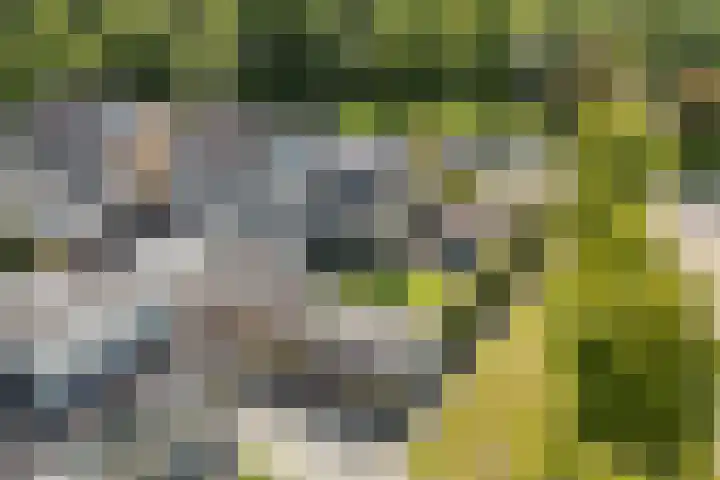 Dr. O. Postmastrjitte 17 Gytsjerk thumbnail 58