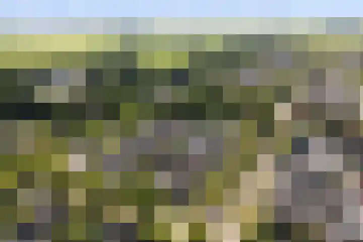 Dr. O. Postmastrjitte 17 Gytsjerk thumbnail 59