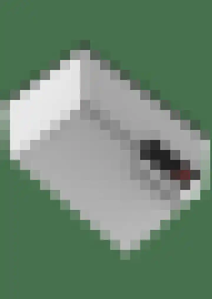 Dr. O. Postmastrjitte 17 Gytsjerk thumbnail 69