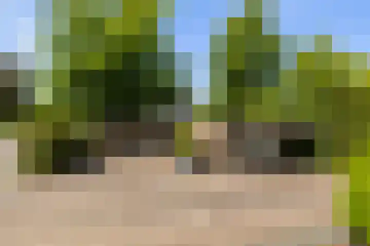 Dr. O. Postmastrjitte 17 Gytsjerk thumbnail 7