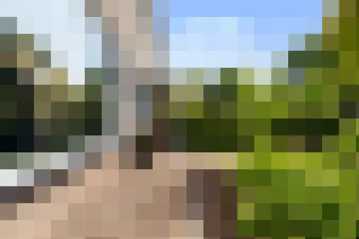 Dr. O. Postmastrjitte 17 Gytsjerk thumbnail 8