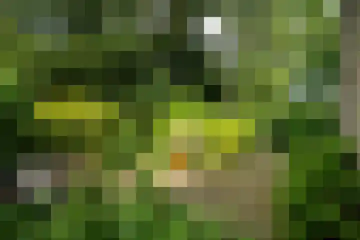 Dr. Obe Postmastraat 24 Sneek thumbnail 39