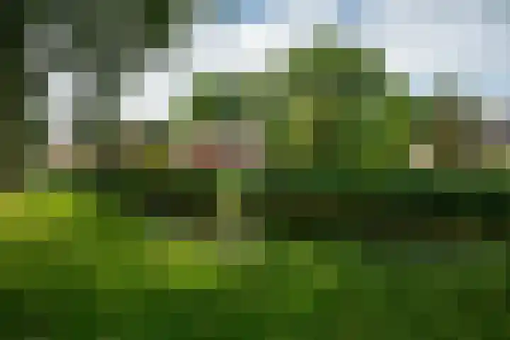 Dr. Obe Postmastraat 24 Sneek thumbnail 4