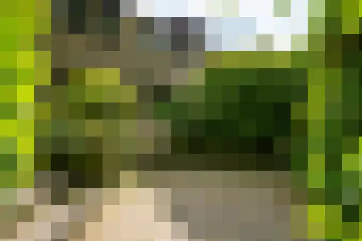 Dr. Obe Postmastraat 24 Sneek thumbnail 41