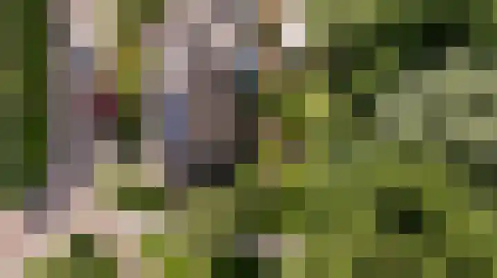 Dr. Obe Postmastraat 24 Sneek thumbnail 7