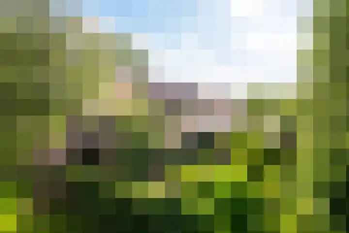 Dr. Obe Postmastraat 24 Sneek thumbnail 8